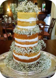 Naked Wedding Cake